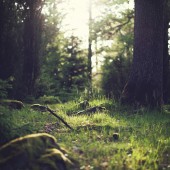 Cropped Tumblr N6Rzpcsmk41St5Lhmo1 1280