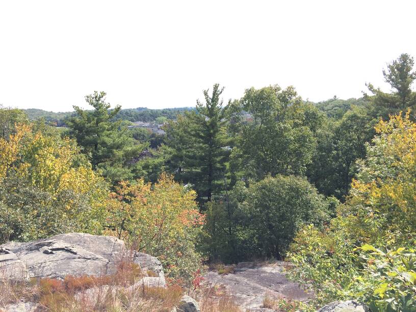 Img 0369